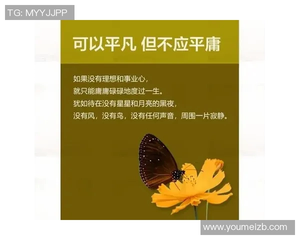 张帆的成长之路：从普通少年到行业领军人物的奋斗历程与心路历程