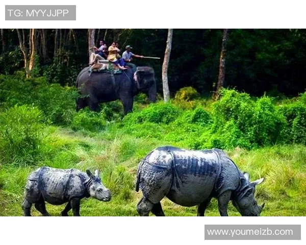 探索埃斯特旺的魅力与历史：一场文化与自然的完美交融之旅