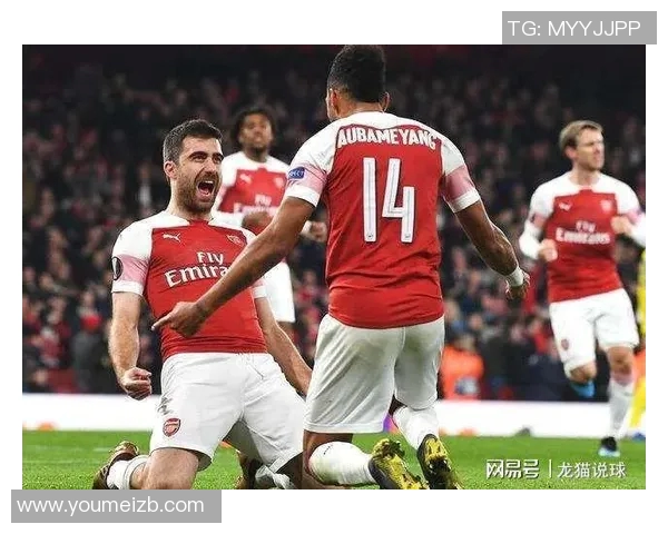 欧赔中上球队与中游球队的实力对比与赛季表现分析