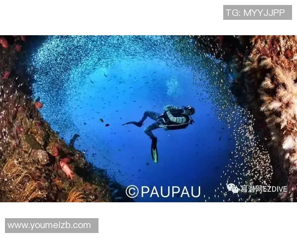 极限运动背后的秘密周芳分享成功之道与心路历程MBA