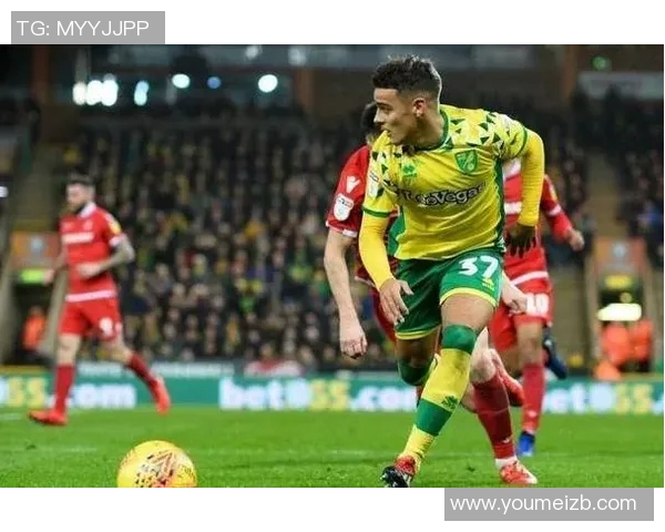 2019年诺维奇对阵谢菲尔德精彩回顾与赛后分析 2019年诺维奇对阵谢菲尔德精彩回顾与赛后分析