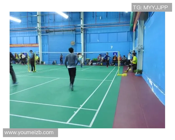 南京羽毛球队技术解析:从基础训练到比赛策略的全方位探讨 南京羽毛球队技术解析:从基础训练到比赛策略的全方位探讨