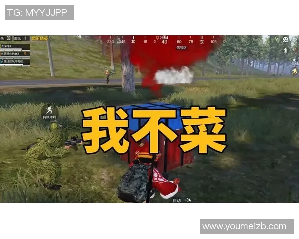 从零开始：全面掌握和平精英游戏节奏与技巧的终极指南