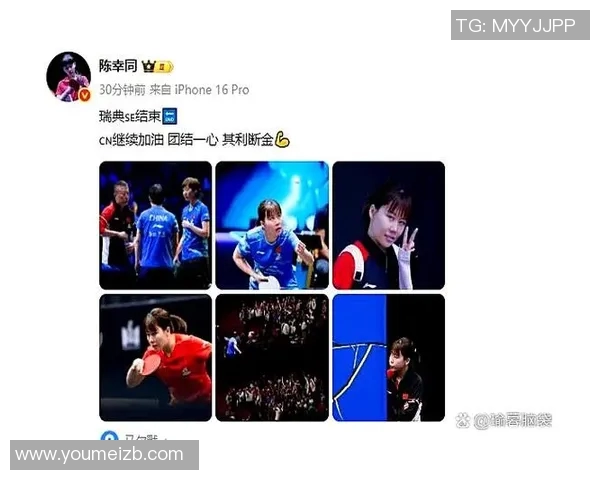 武汉乒乓球队团队协作能力提升显著荣获全国排名新高