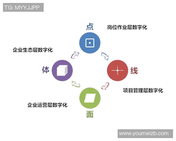 上海篮球队的控制革新探索与发展路径分析 上海篮球队的控制革新探索与发展路径分析